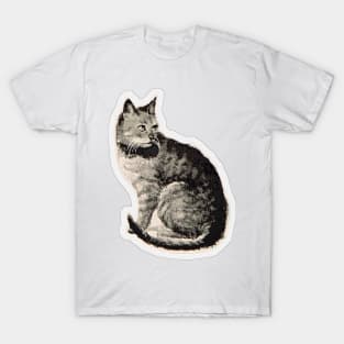 Cat vintage drawing T-Shirt